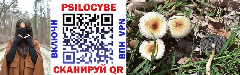 Купить закладки  Дятьково  Псилоцибиновые грибы GOLDEN TEACHER 